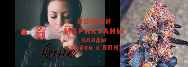шишки Пролетарск