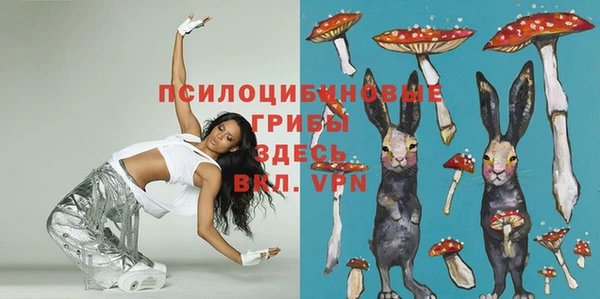 герыч Абаза