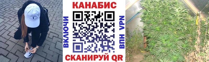 Каннабис THC 21%  как найти наркотики  Белоозёрский 